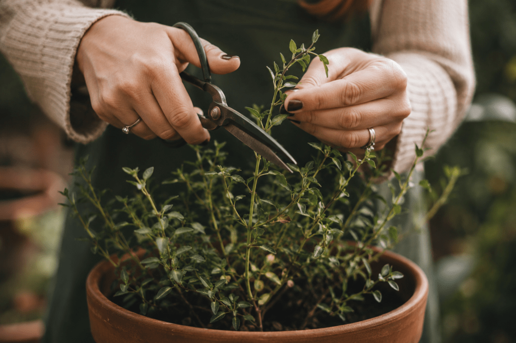 Grow: Becoming More Like Jesus on&nbsp;Purpose