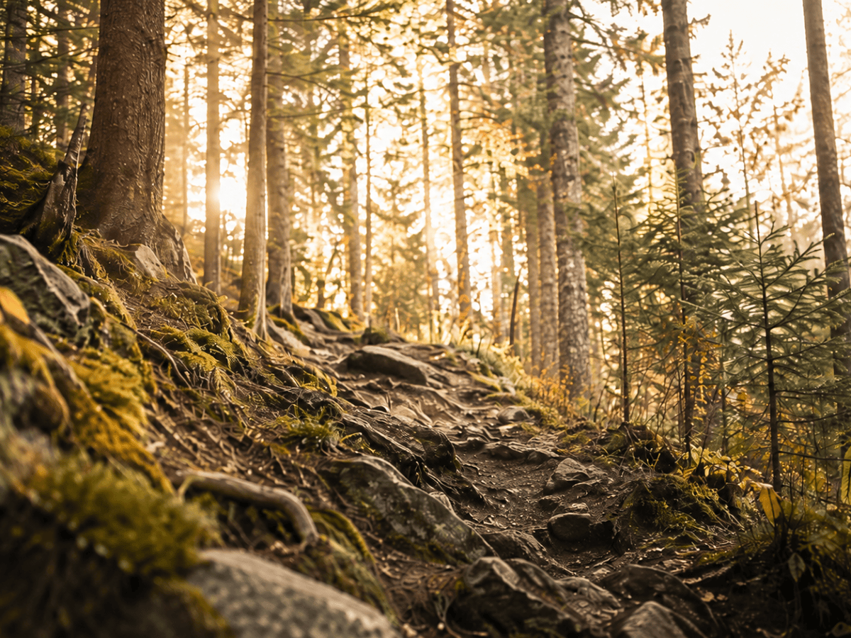 Why We Need One Another: Faith, Relationships, and&nbsp;Going